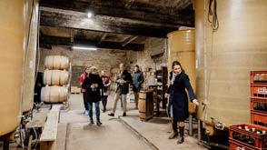 Expérience Cidre Vesly © Marie-Anaïs Thierry