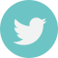 lien vers twitter