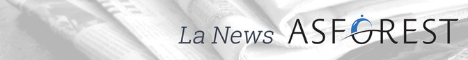 News Asforest